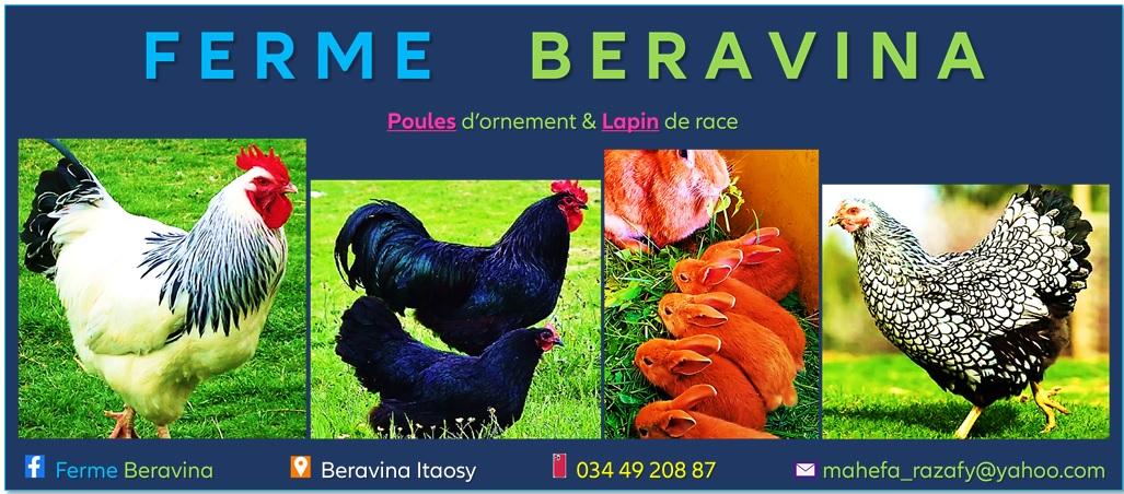 Ferme beravina