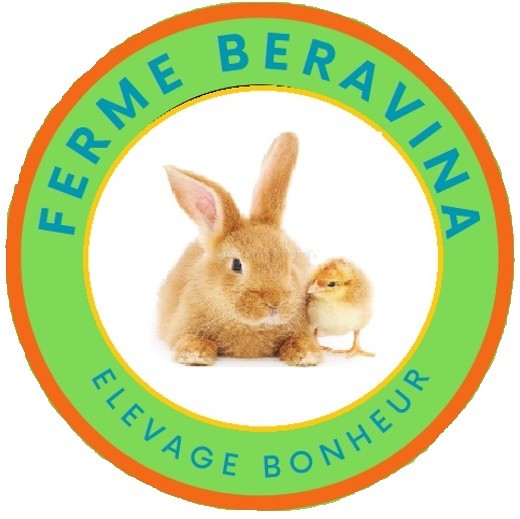 FERME BERAVINA